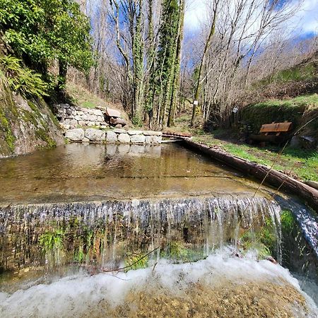 La Bouletiere Bed & Breakfast Dourbies Exterior foto