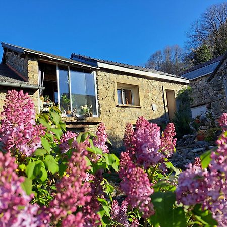La Bouletiere Bed & Breakfast Dourbies Exterior foto