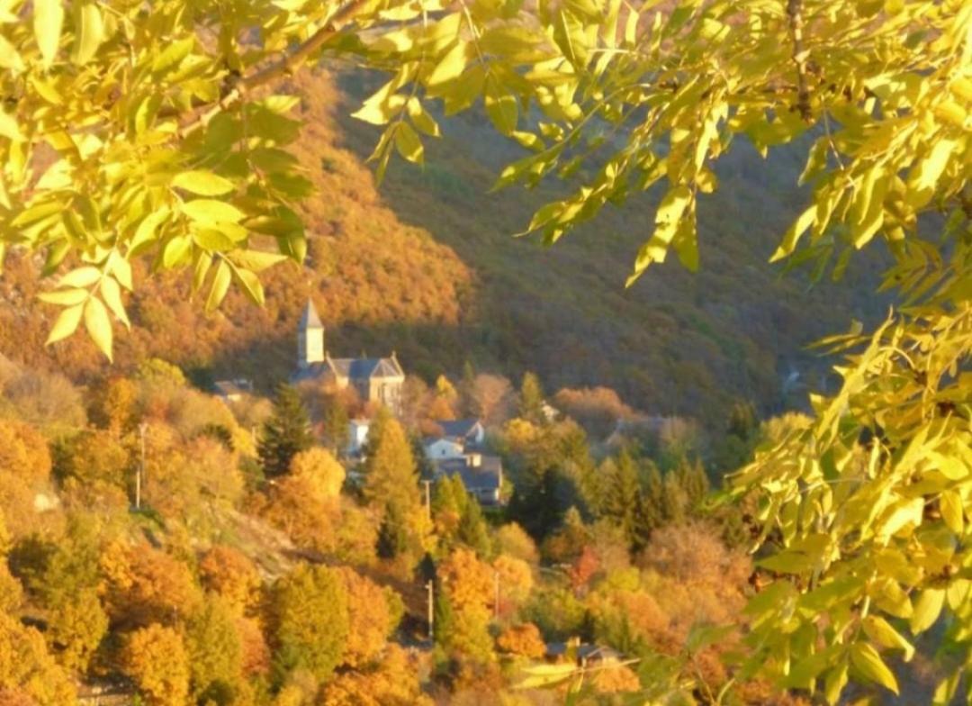 La Bouletiere Bed & Breakfast Dourbies Exterior foto