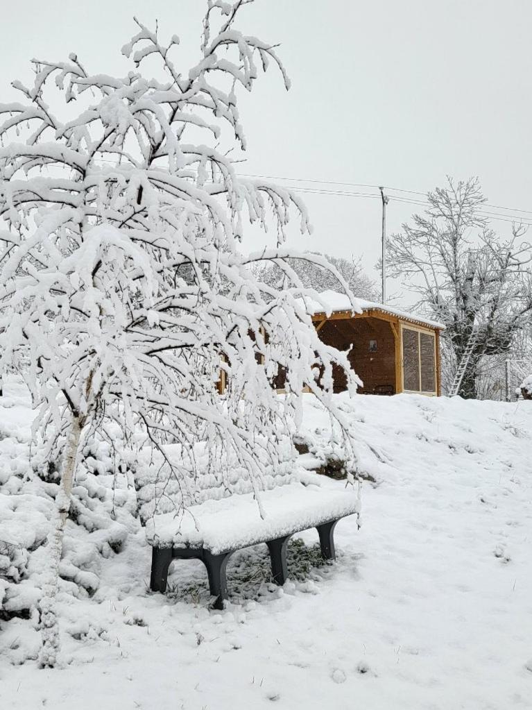 La Bouletiere Bed & Breakfast Dourbies Exterior foto