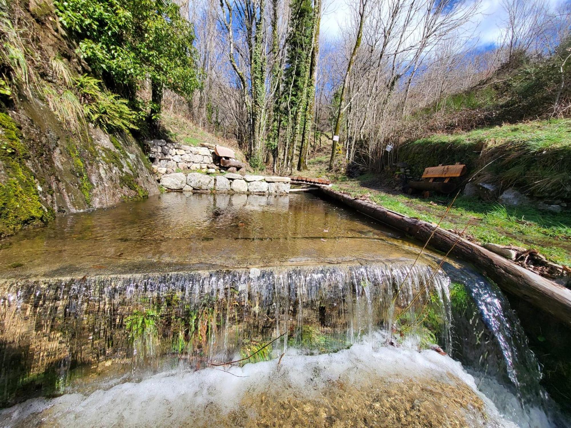 La Bouletiere Bed & Breakfast Dourbies Exterior foto