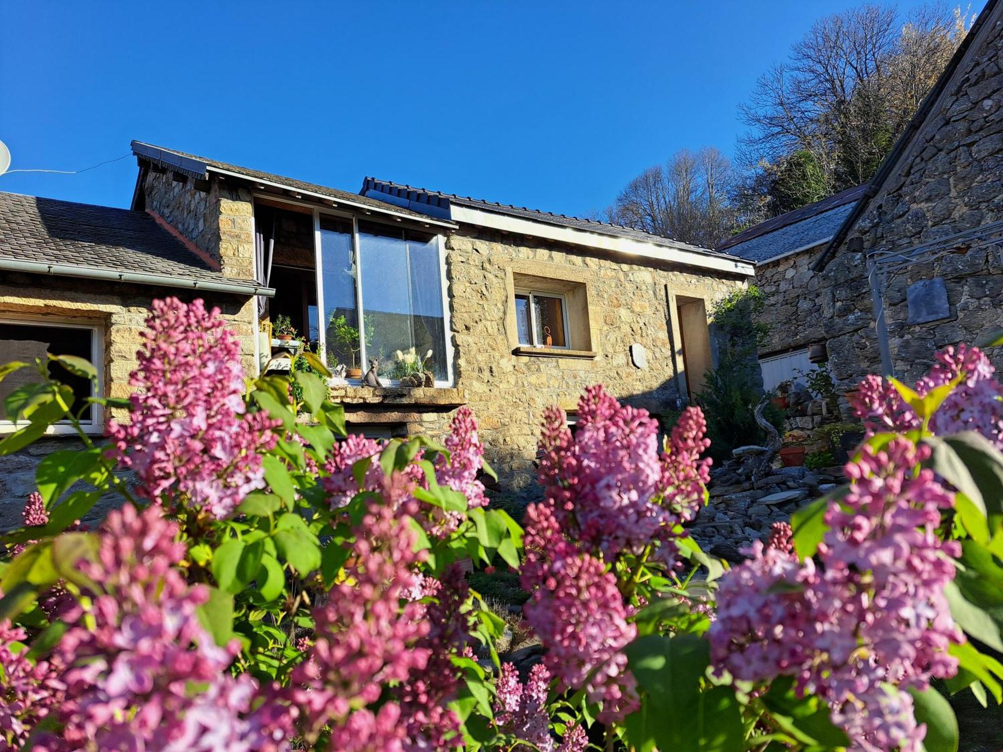 La Bouletiere Bed & Breakfast Dourbies Exterior foto