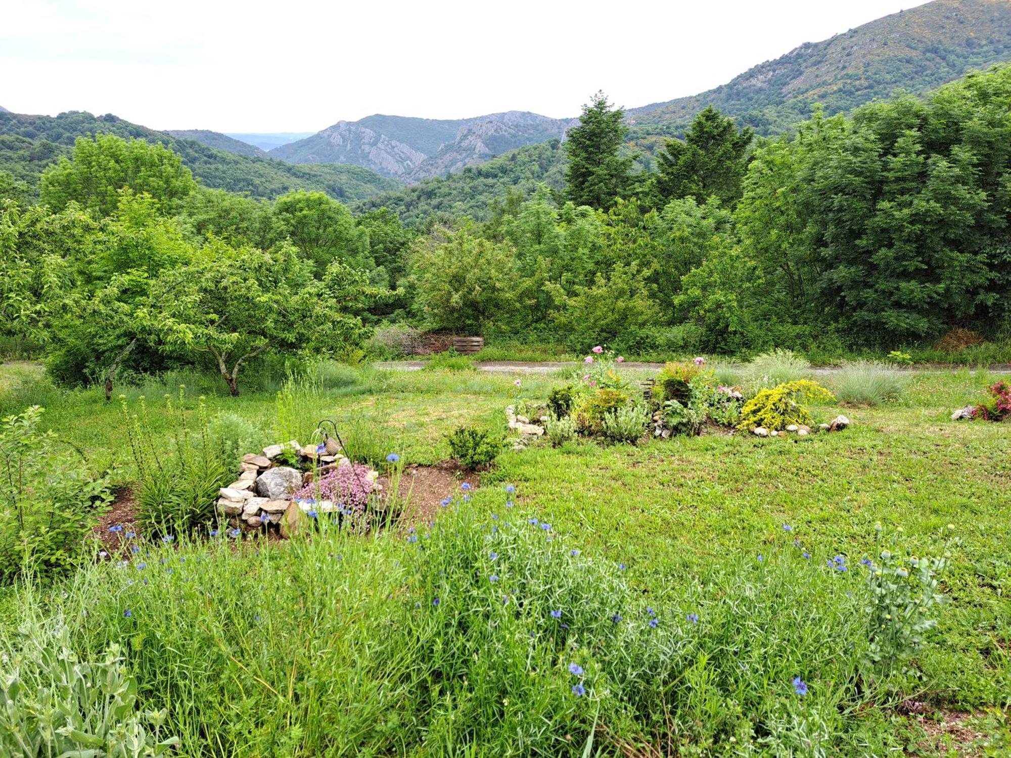 La Bouletiere Bed & Breakfast Dourbies Exterior foto